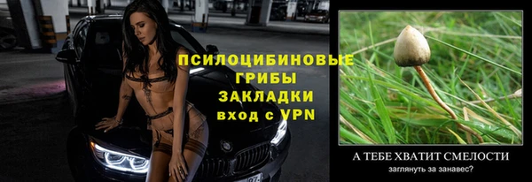 spice Абинск